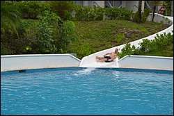 DSC_0006.JPG