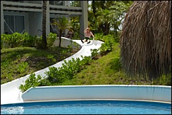 DSC_0012.JPG