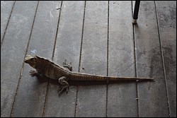 DSC_0031.JPG