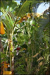DSC_0052.JPG