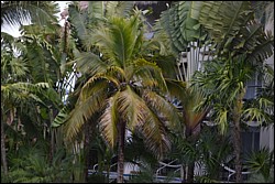 DSC_0060.JPG