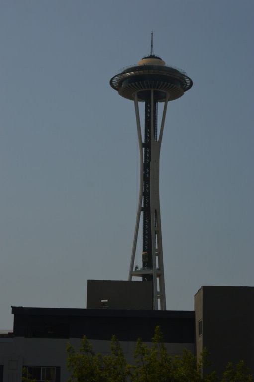 DSC_0003.JPG