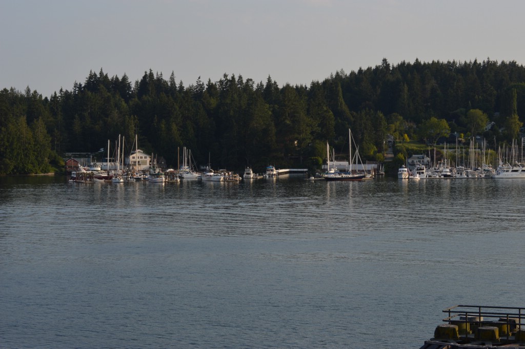 DSC_0016.JPG