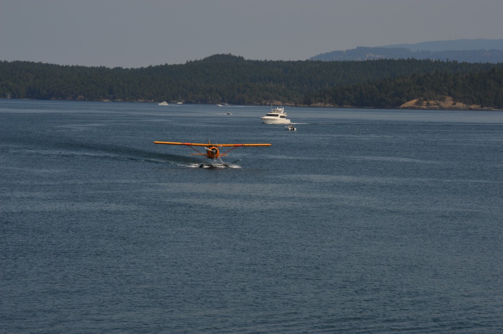 DSC_0032.JPG
