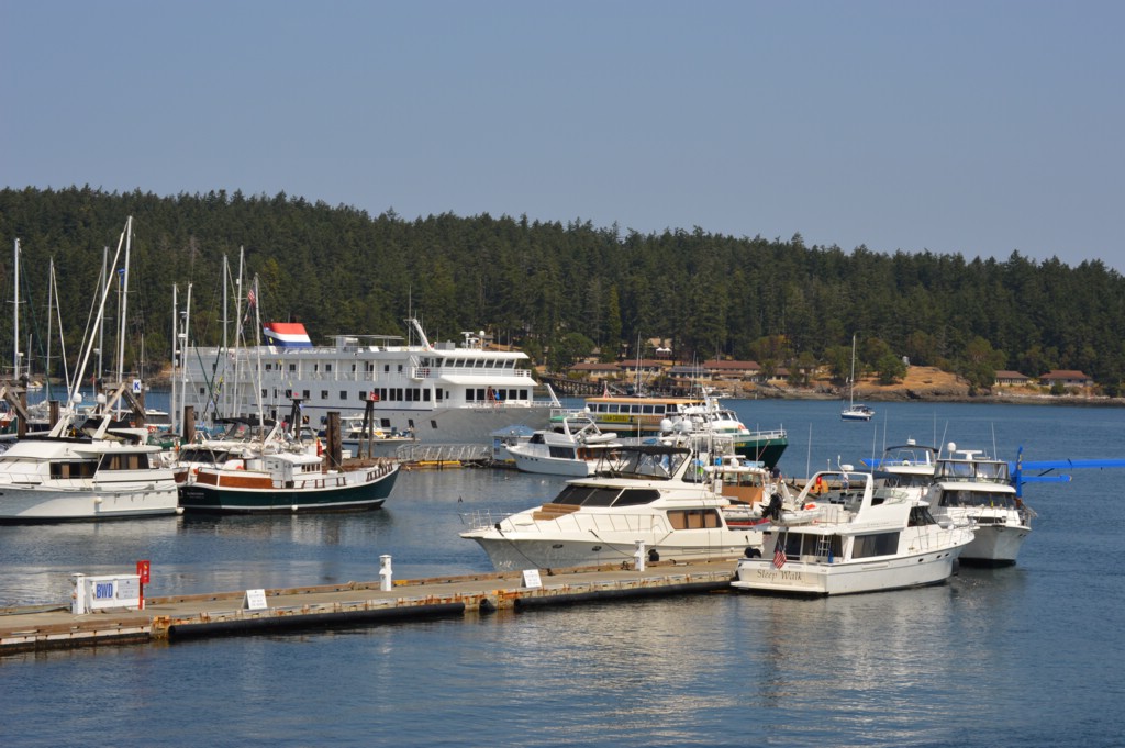 DSC_0033.JPG