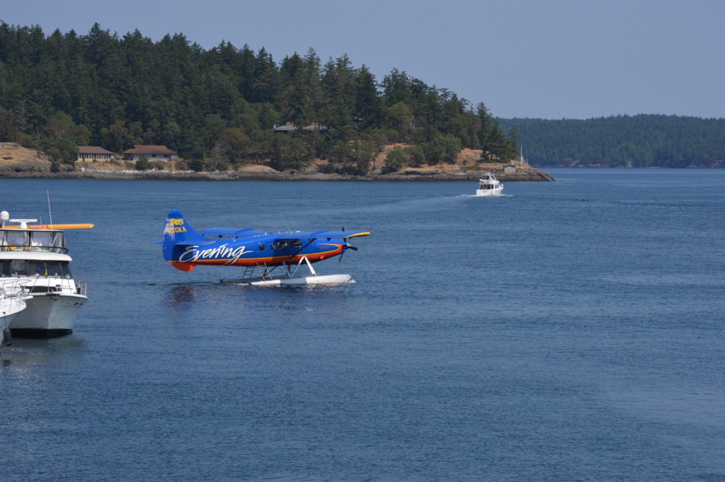 DSC_0036.JPG
