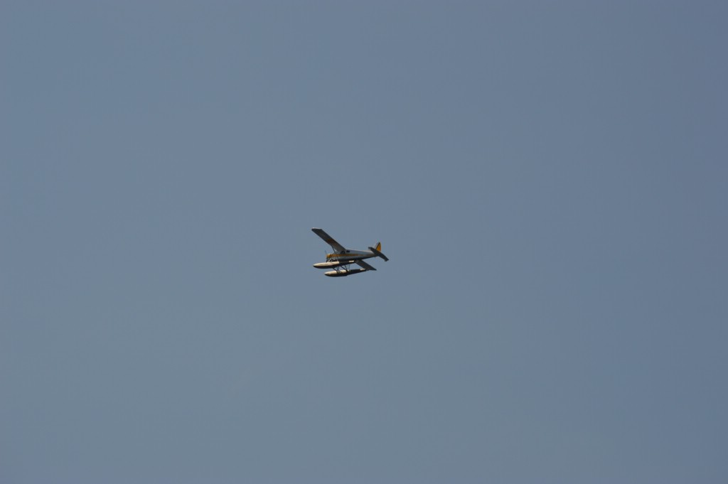 DSC_0037.JPG