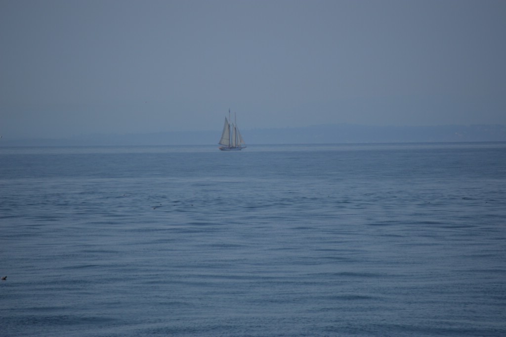 DSC_0041.JPG