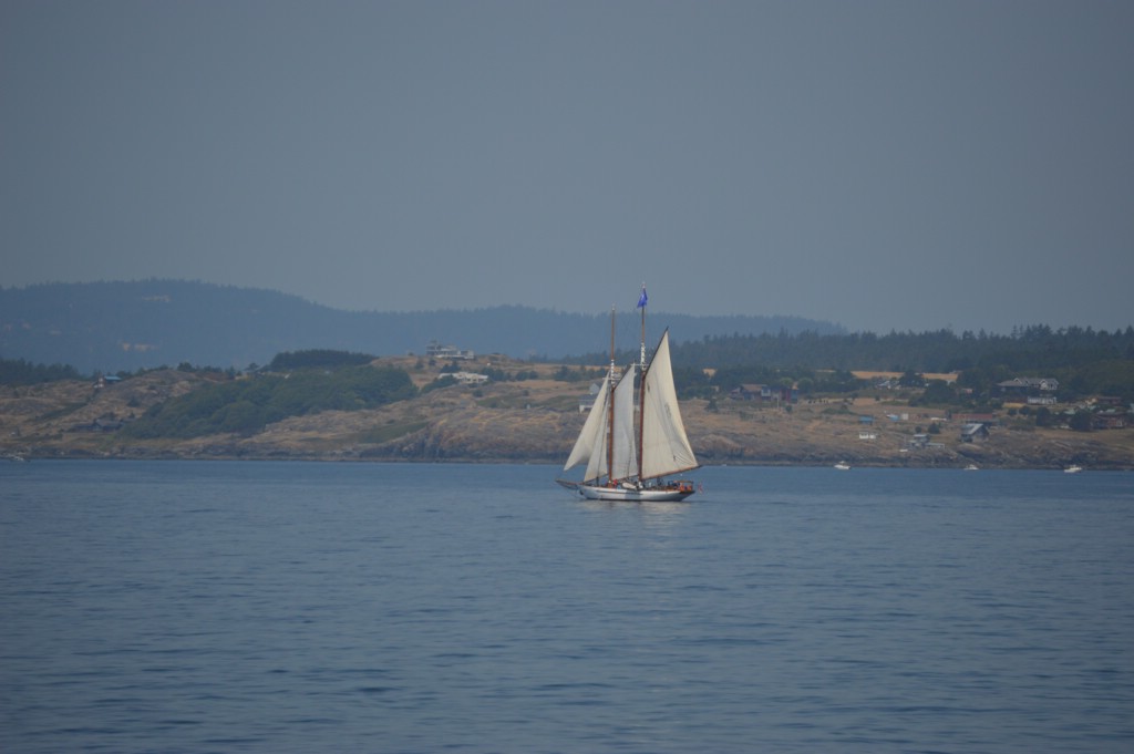 DSC_0042.JPG