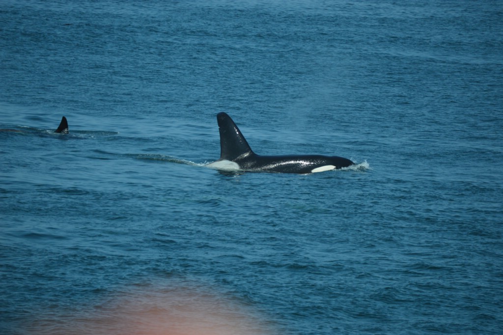 DSC_0046.JPG