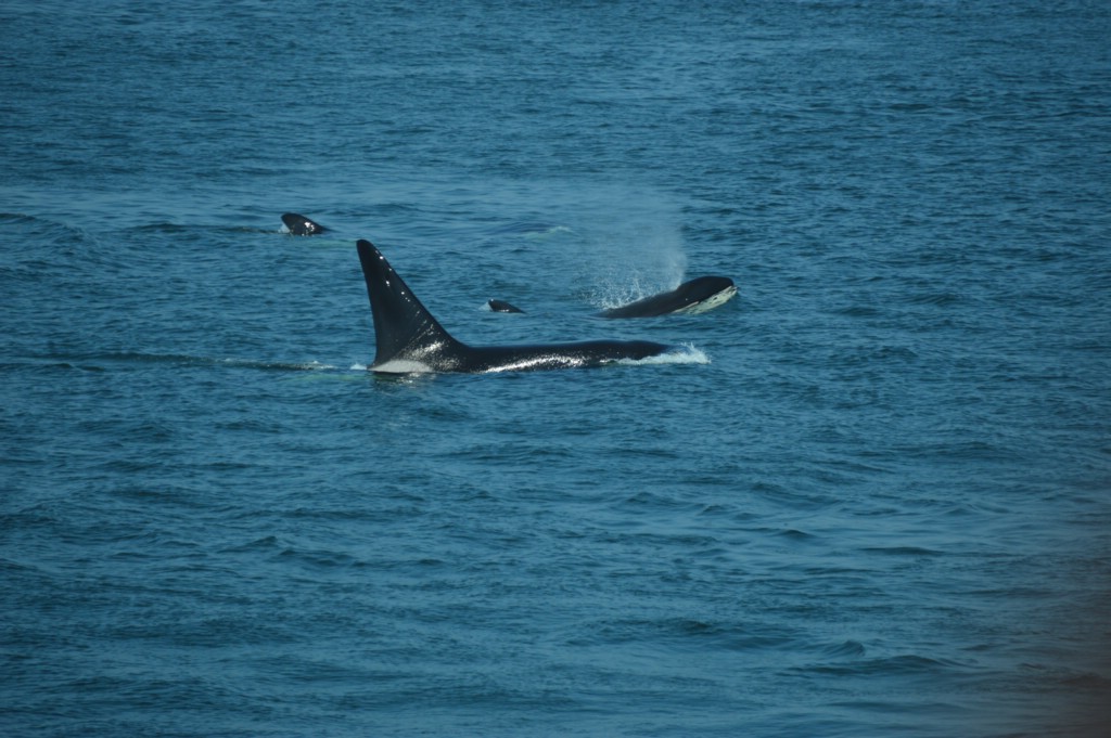 DSC_0047.JPG
