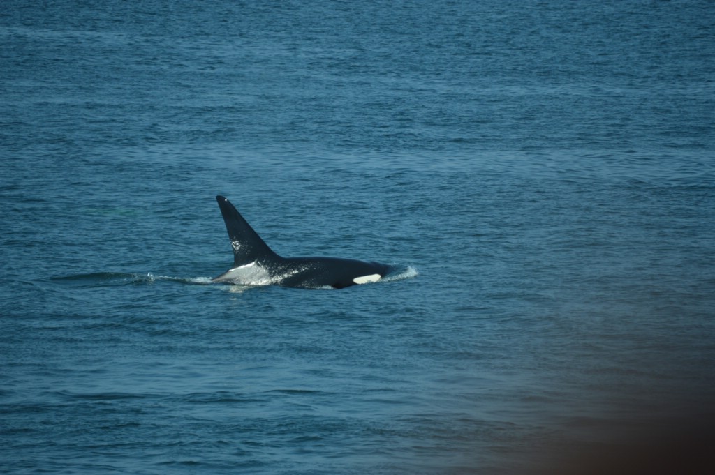 DSC_0051.JPG