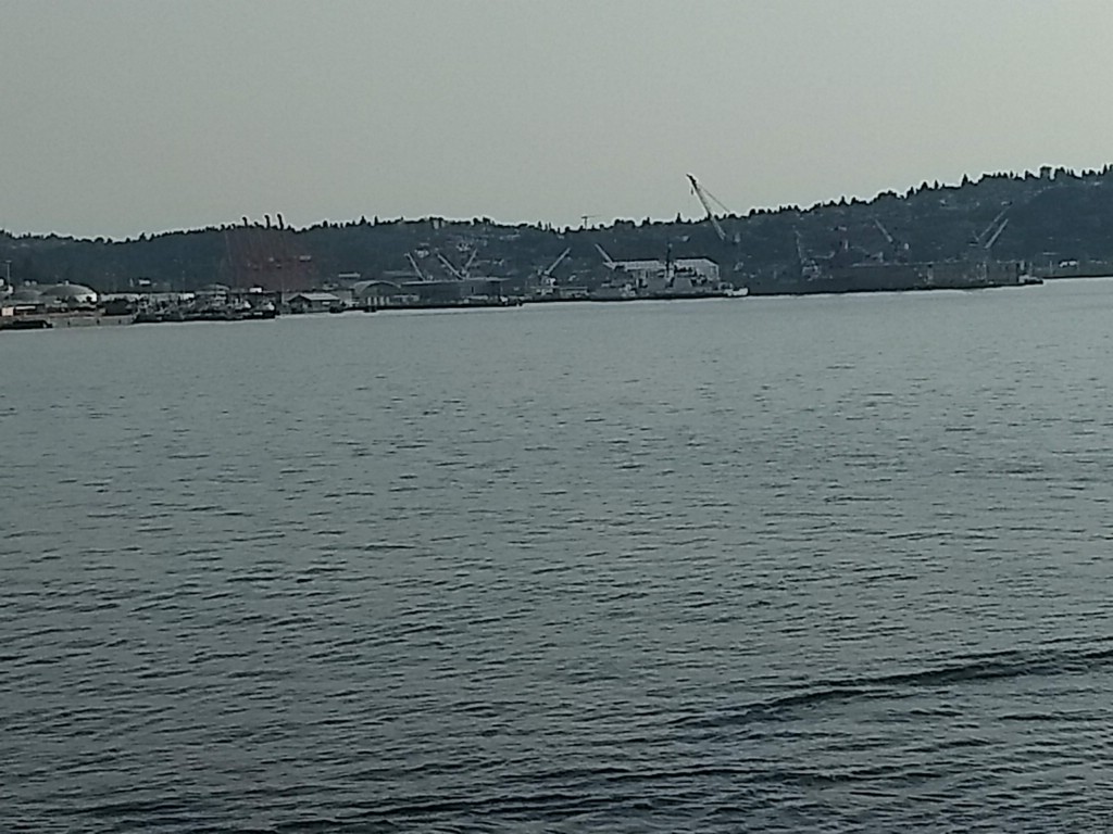 IMG_20180728_185100741.jpg