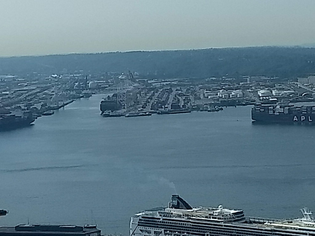 IMG_20180729_105041018.jpg