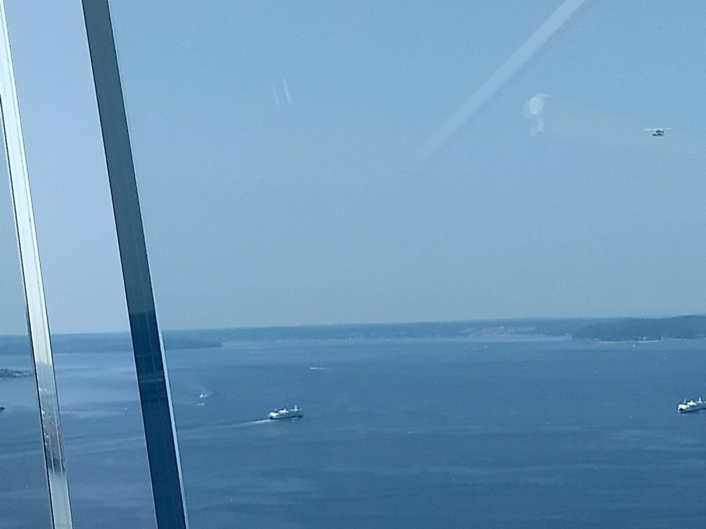 IMG_20180729_105047868.jpg