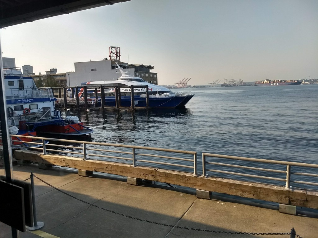 IMG_20180730_074321845_HDR.jpg