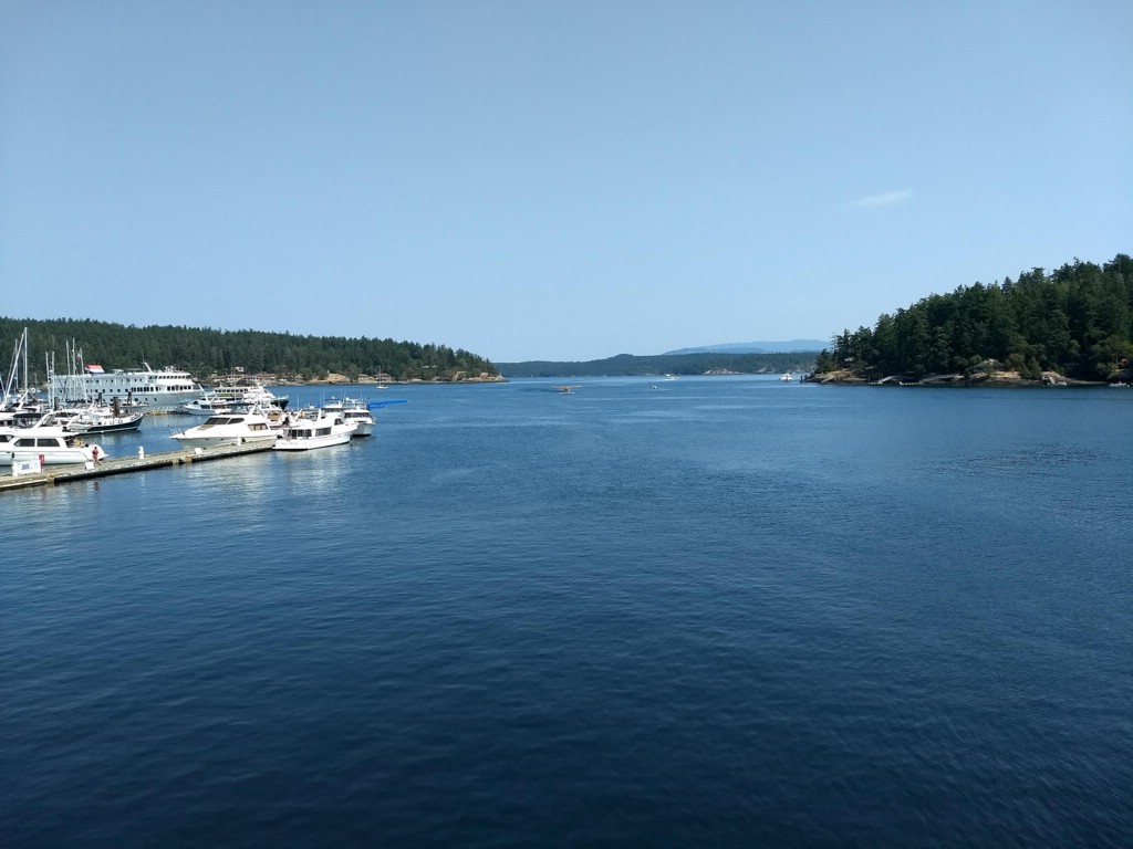 IMG_20180730_121807754.jpg