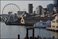 DSC_0005.JPG
