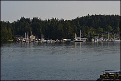 DSC_0016.JPG