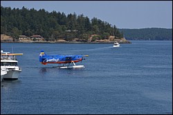DSC_0036.JPG