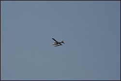 DSC_0037.JPG