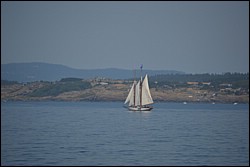 DSC_0042.JPG