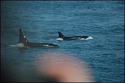 DSC_0044.JPG