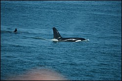 DSC_0046.JPG