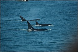 DSC_0048.JPG