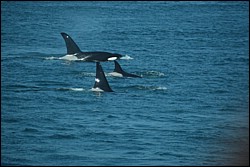 DSC_0049.JPG