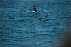DSC_0050.JPG