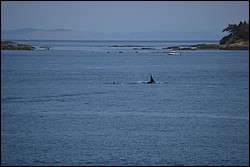DSC_0053.JPG