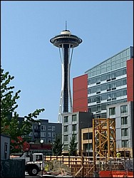 IMG_20180728_141856026.jpg