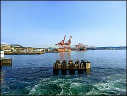 IMG_20180728_185051318-EFFECTS.jpg