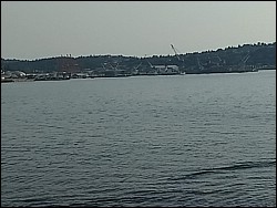IMG_20180728_185100741.jpg