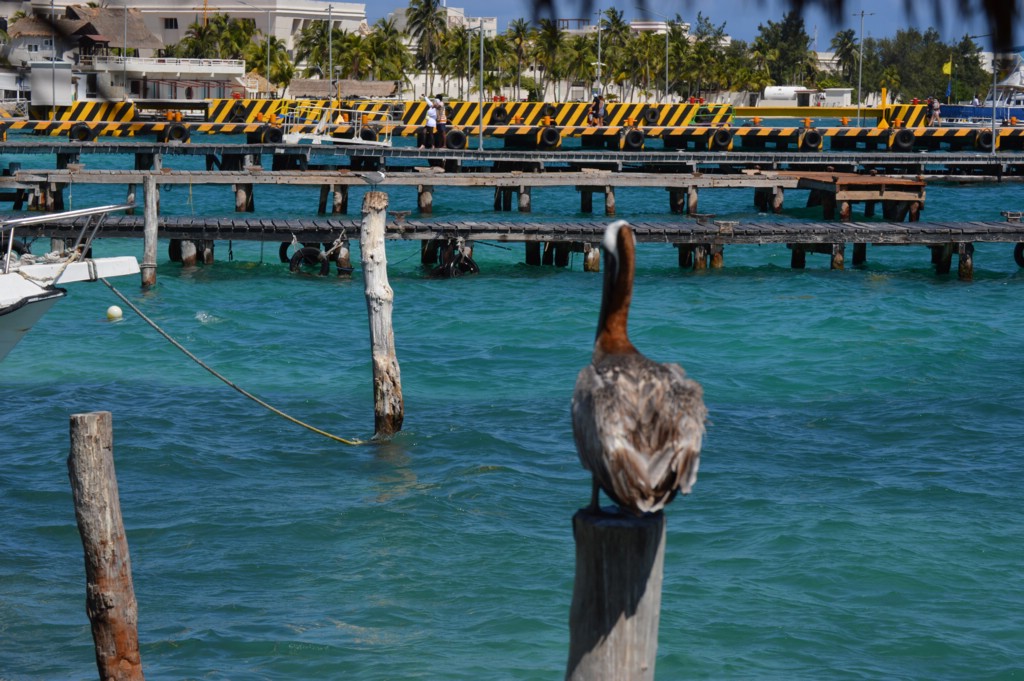 DSC_0005.JPG