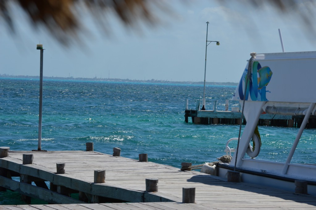 DSC_0010.JPG