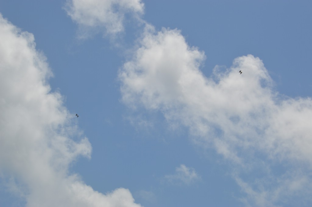 DSC_0065.JPG