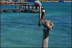 DSC_0003.JPG