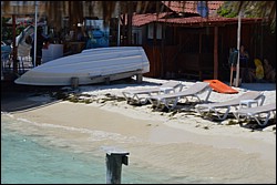 DSC_0007.JPG