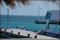 DSC_0010.JPG