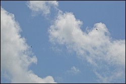 DSC_0065.JPG