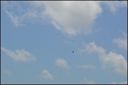 DSC_0066.JPG