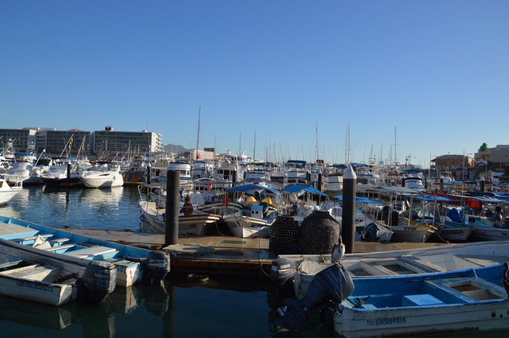 DSC_0004.JPG