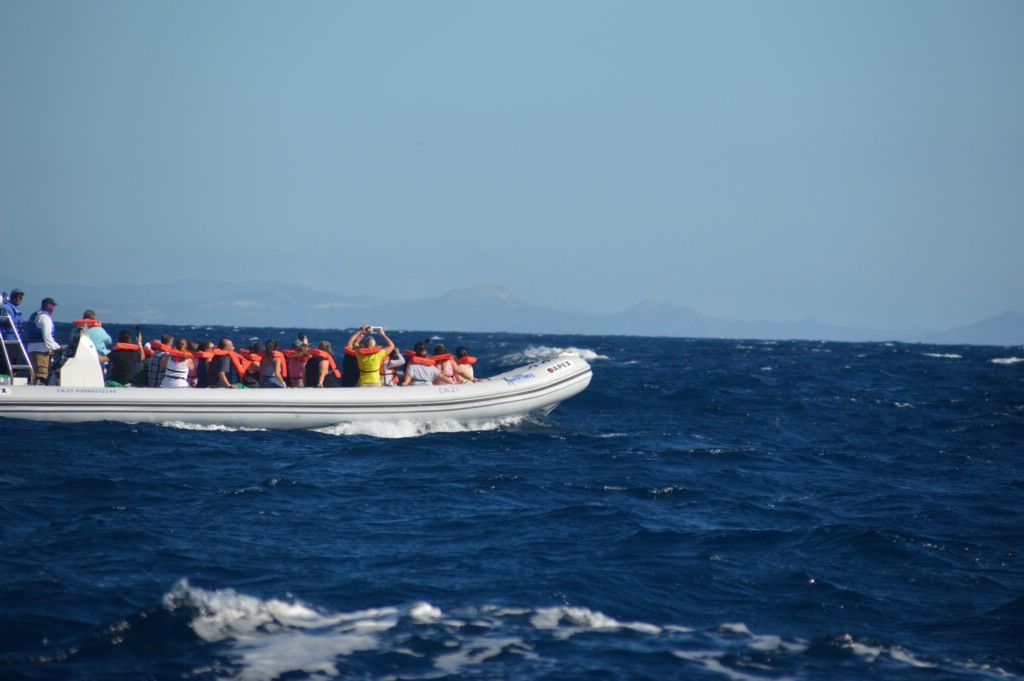 DSC_0027.JPG