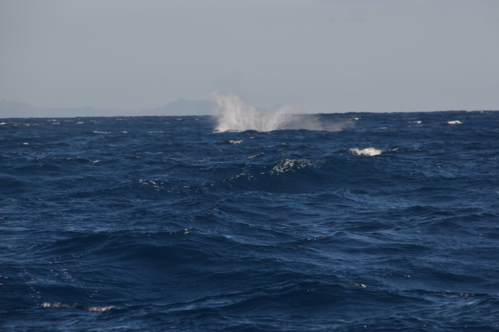 DSC_0028.JPG