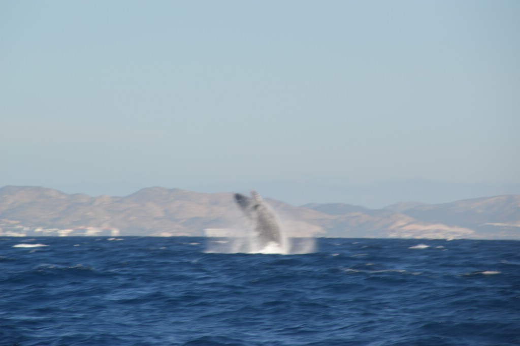DSC_0030.JPG