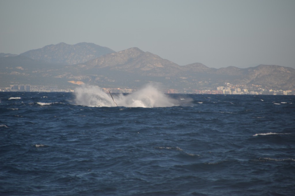 DSC_0031.JPG