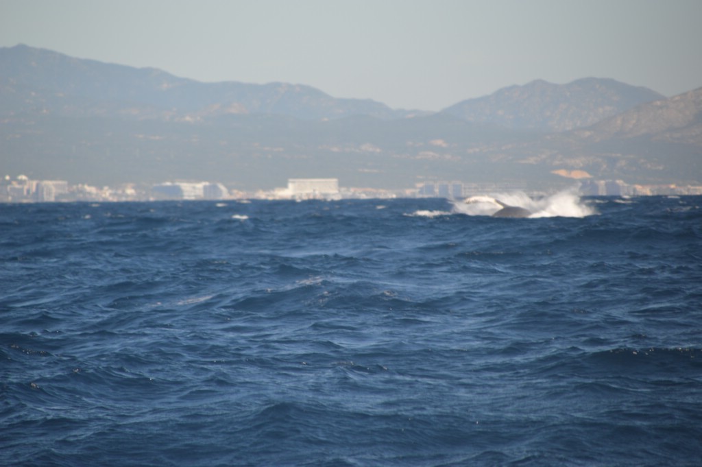 DSC_0032.JPG
