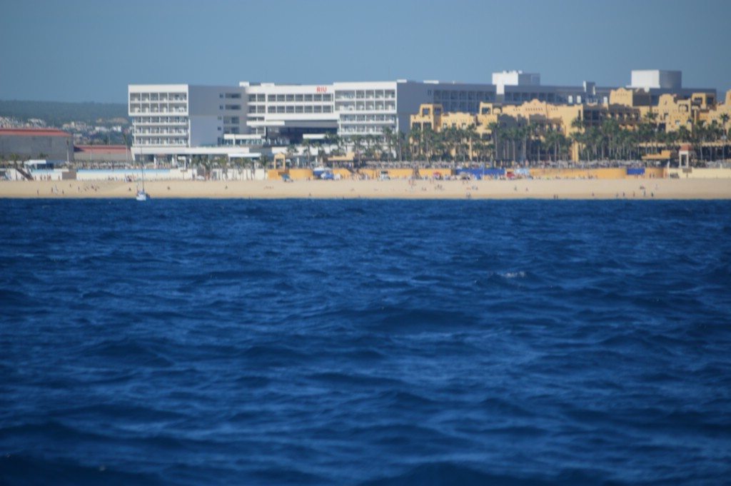 DSC_0035.JPG